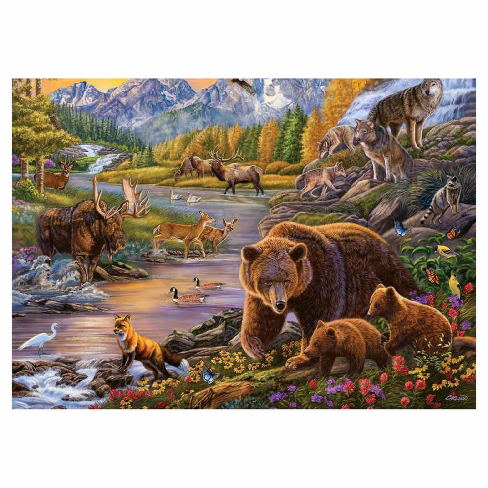 Voir la diapositive 2 : RAVENSBURGER RAVENSBURGER Wilderness, 500pcs.