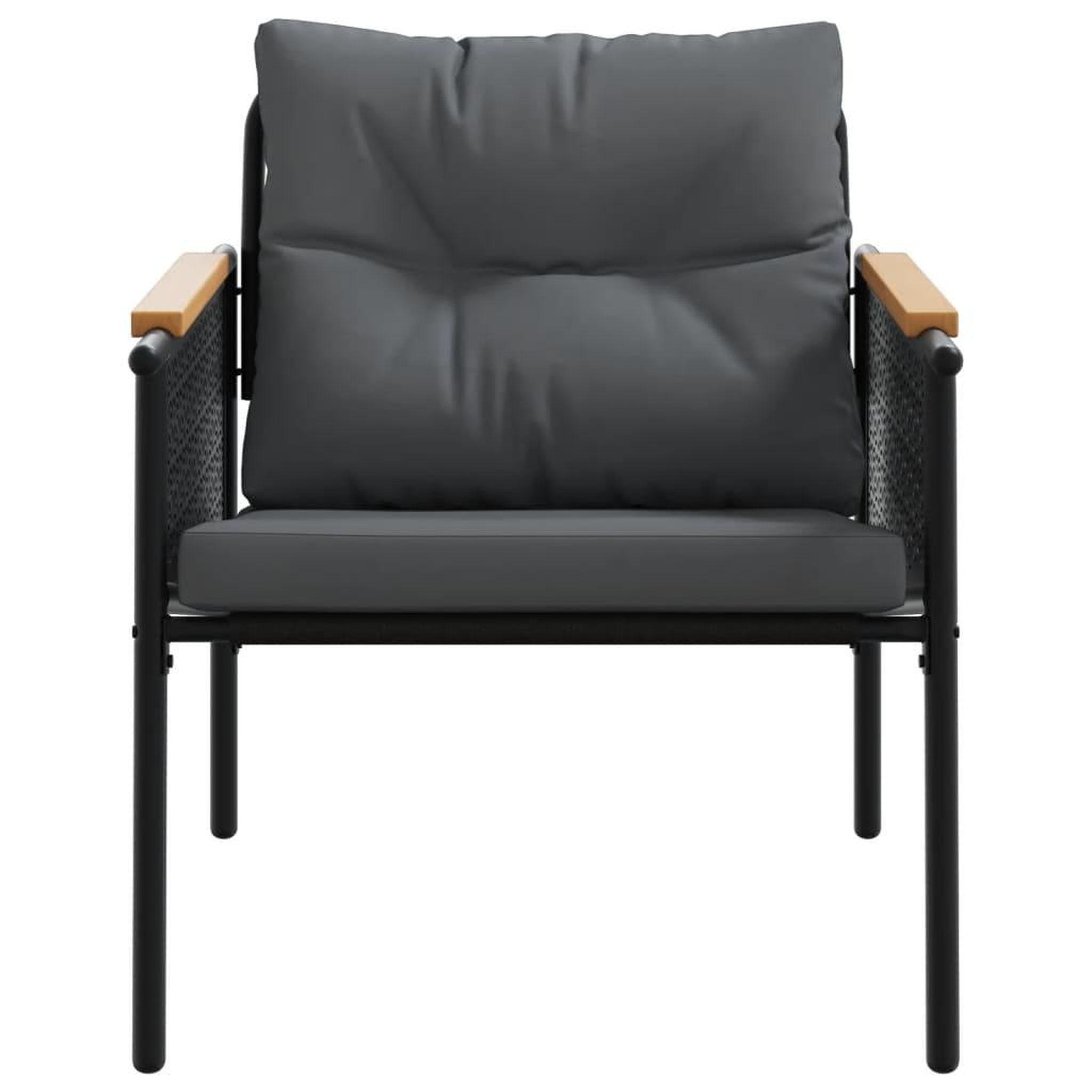 Voir la diapositive 3 : VIDAXL Chaises de jardin avec coussins lot de 2 noir acier