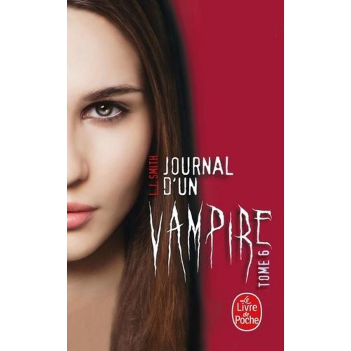 JOURNAL D'UN VAMPIRE TOME 6, Smith L. J.