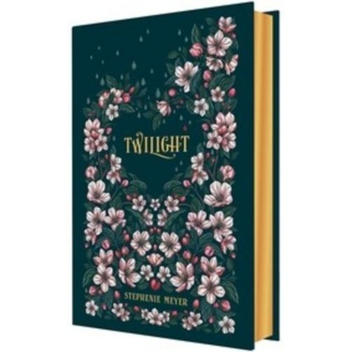 TWILIGHT TOME 1 : FASCINATION. EDITION COLLECTOR, Meyer Stephenie