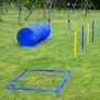 Voir la diapositive 2 : PAWHUT Agility sport pour chiens équipement complet obstacles, tunnel, slalom, zone repos + 2 sacs de transport bleu jaune