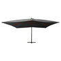 Voir la diapositive 2 : VIDAXL Parasol de jardin en porte-a-faux avec mat en bois anthracite