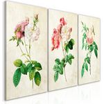 Paris Prix Tableau Imprimé  Floral Trio Collection. Coloris disponibles : Multicolore