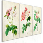 Paris Prix Tableau Imprimé  Floral Trio Collection. Coloris disponibles : Multicolore