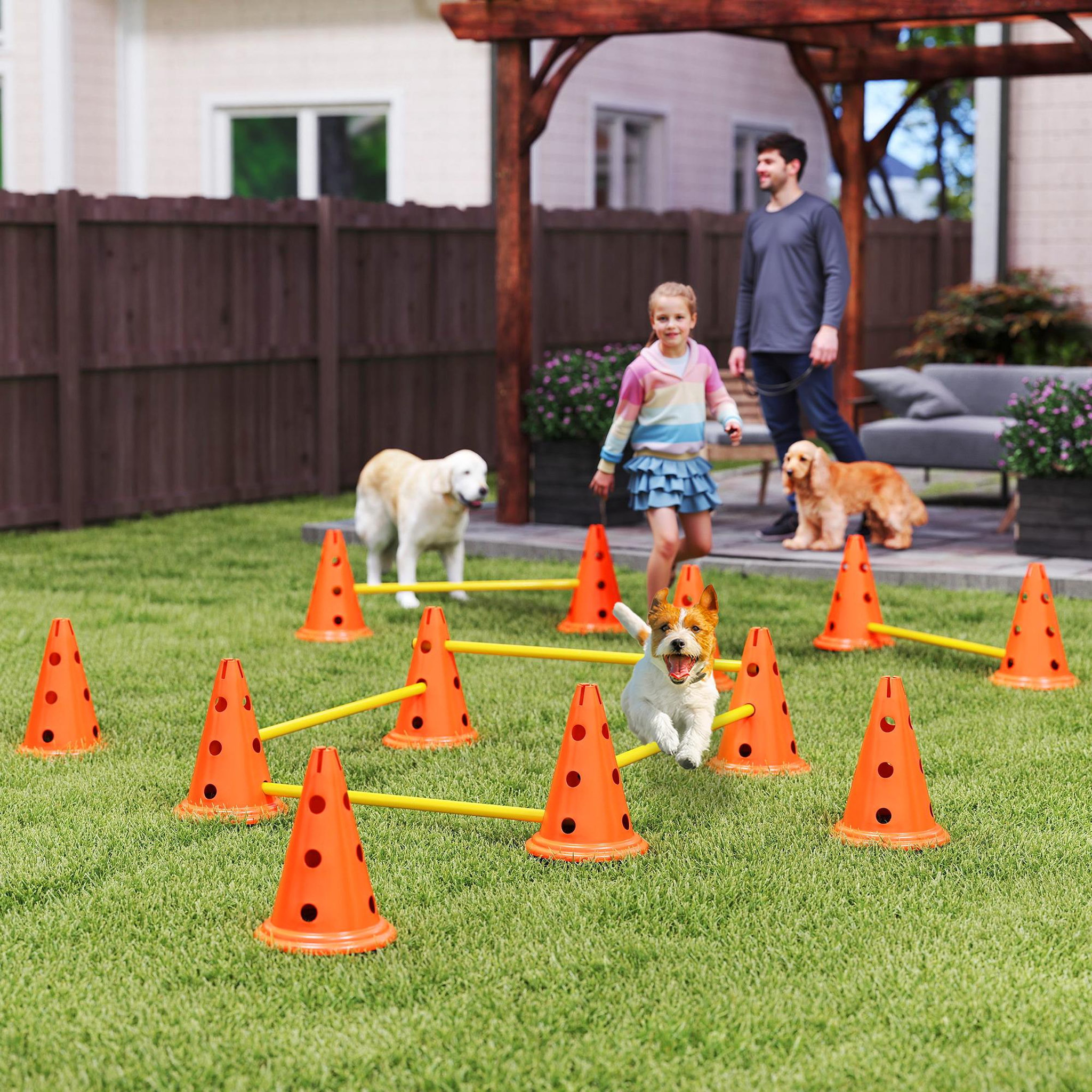 Voir la diapositive 6 : PAWHUT Set d'obstacles agility 12 cônes 6 piquets pour chien sac transport inclus