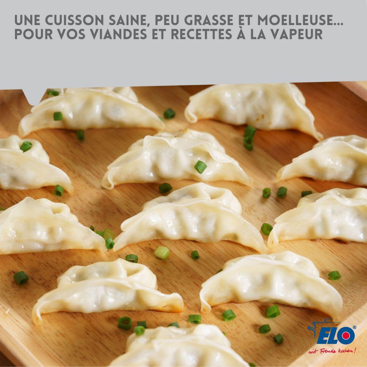 ELO Cuiseur vapeur en inox 18 cm de 2 litres Elo Citrin