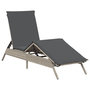 Voir la diapositive 4 : VIDAXL Chaises longues avec coussins lot de 2 gris resine tressee
