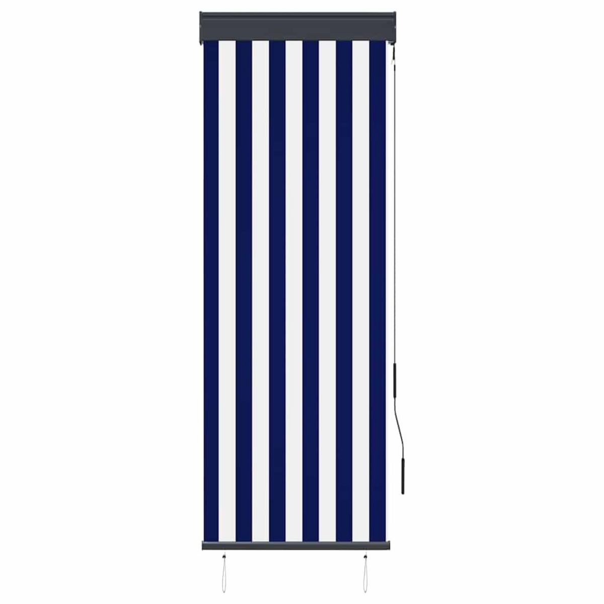 VIDAXL Store roulant d'exterieur 60x250 cm Bleu et blanc