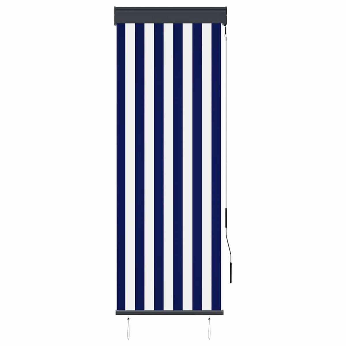 VIDAXL Store roulant d'exterieur 60x250 cm Bleu et blanc