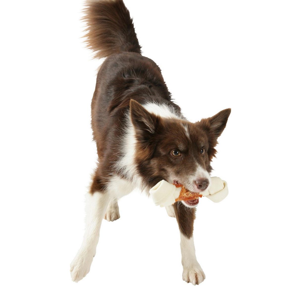 Zolux Os à mâcher au poulet Taille L – Zolux