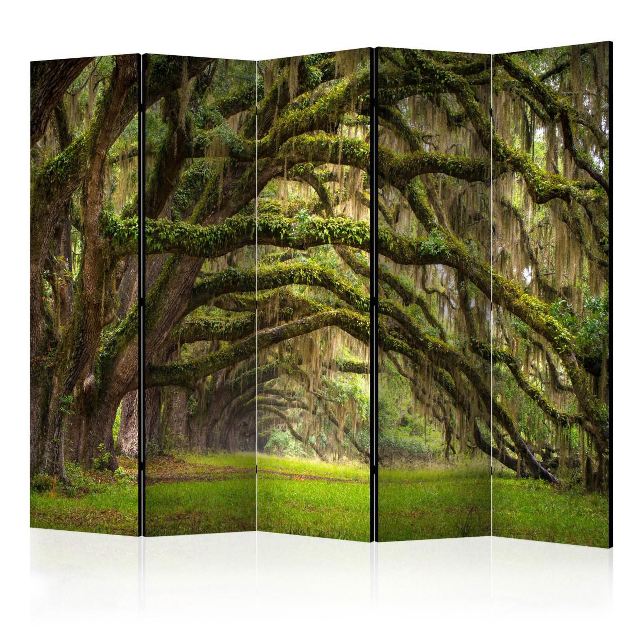 Paris Prix Paravent 5 volets  tree embrace  172x225cm