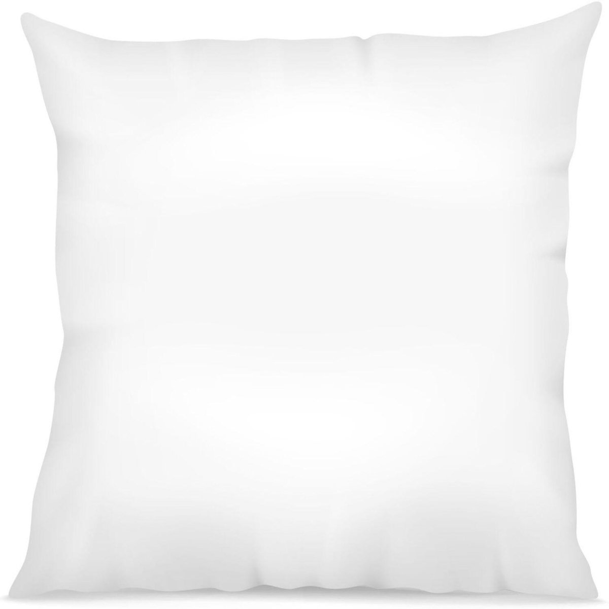 Home collection Lot de 2 oreillers blanc 60x60cm 100% coton fabrication francaise