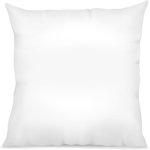 Home collection Lot de 2 oreillers blanc 60x60cm 100% coton fabrication francaise