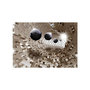 Voir la diapositive 2 : Paris Prix Papier Peint  Golden Jigsaw