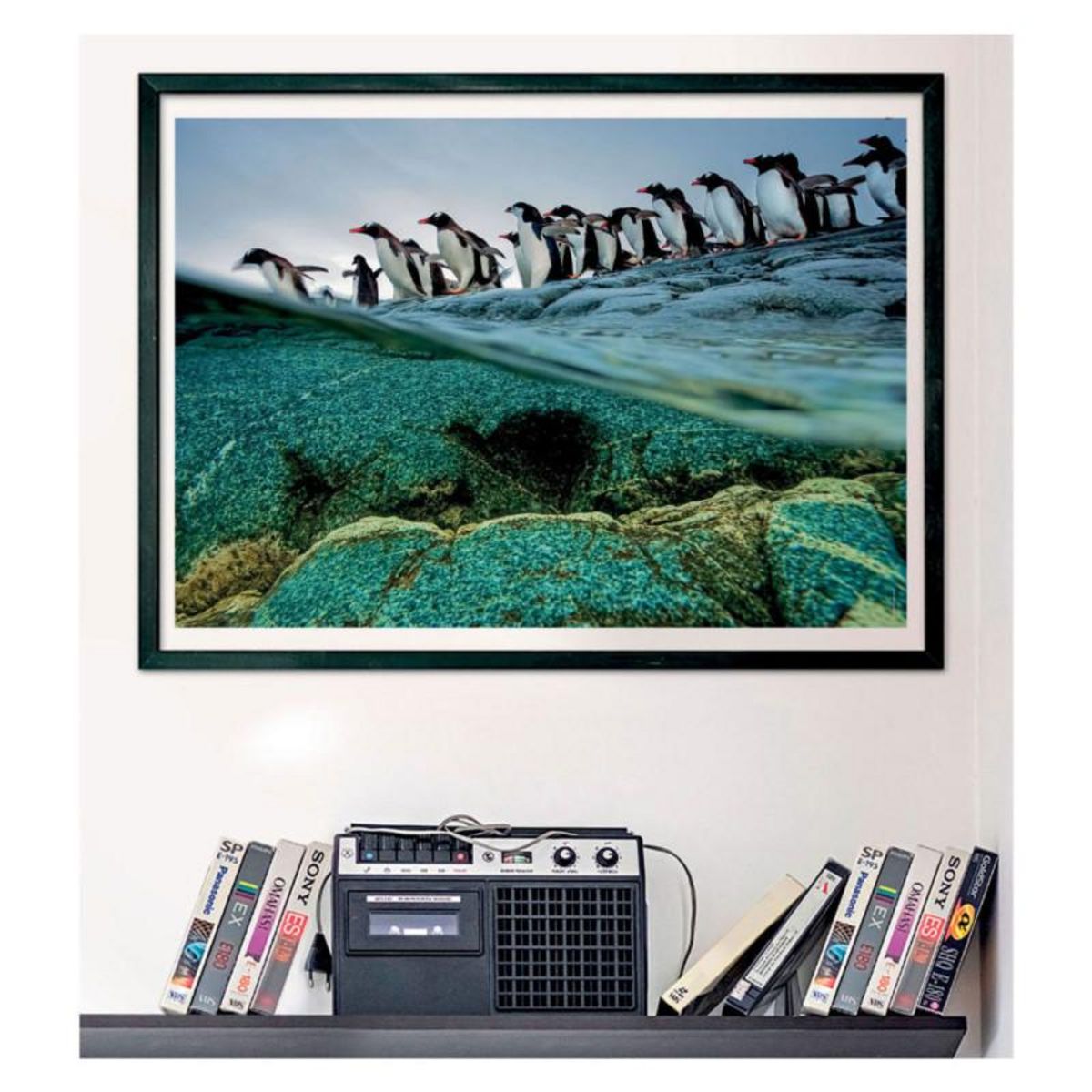 CLEMENTONI Clementoni Jigsaw Puzzle National Geographics - Penguin, 1000pcs. 39730