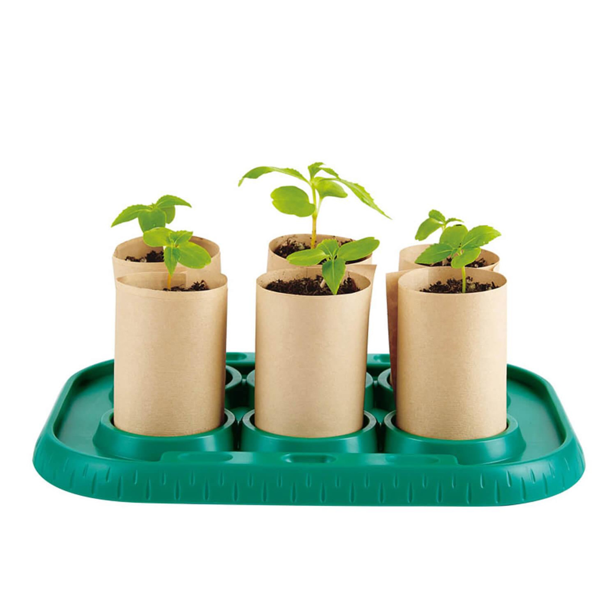 Voir la diapositive 2 : Hape Serre pour apprentis jardiniers