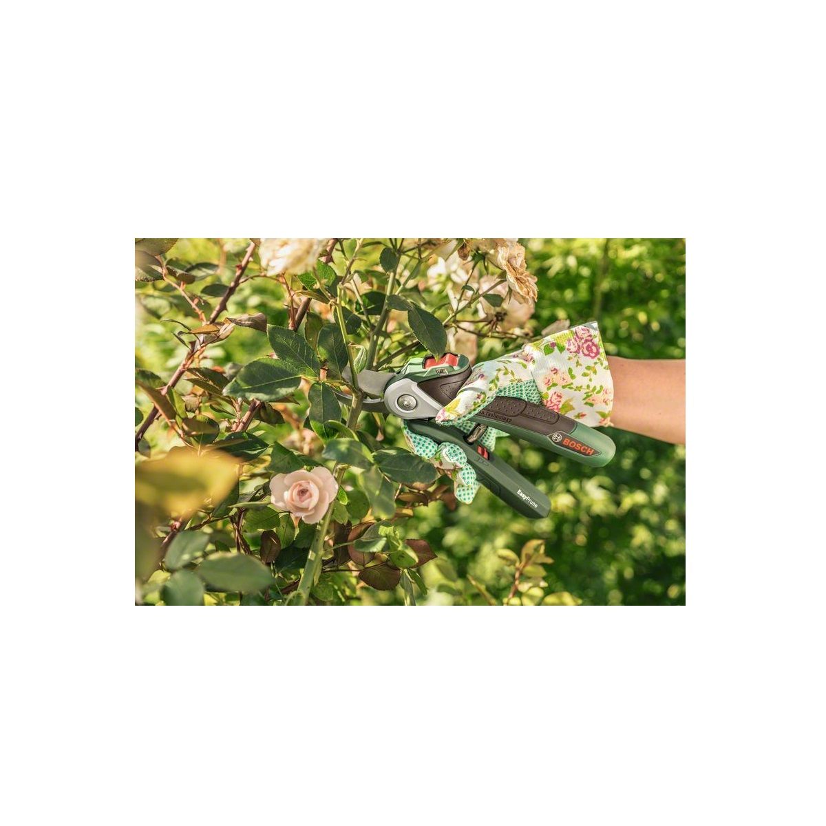 BOSCH Sécateur Easyprune