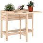 Voir la diapositive 1 : VIDAXL Jardiniere avec dessus de table pliable bois de pin massif