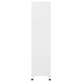 Voir la diapositive 4 : VIDAXL Armoire a casiers Blanc 90x45x180 cm Acier
