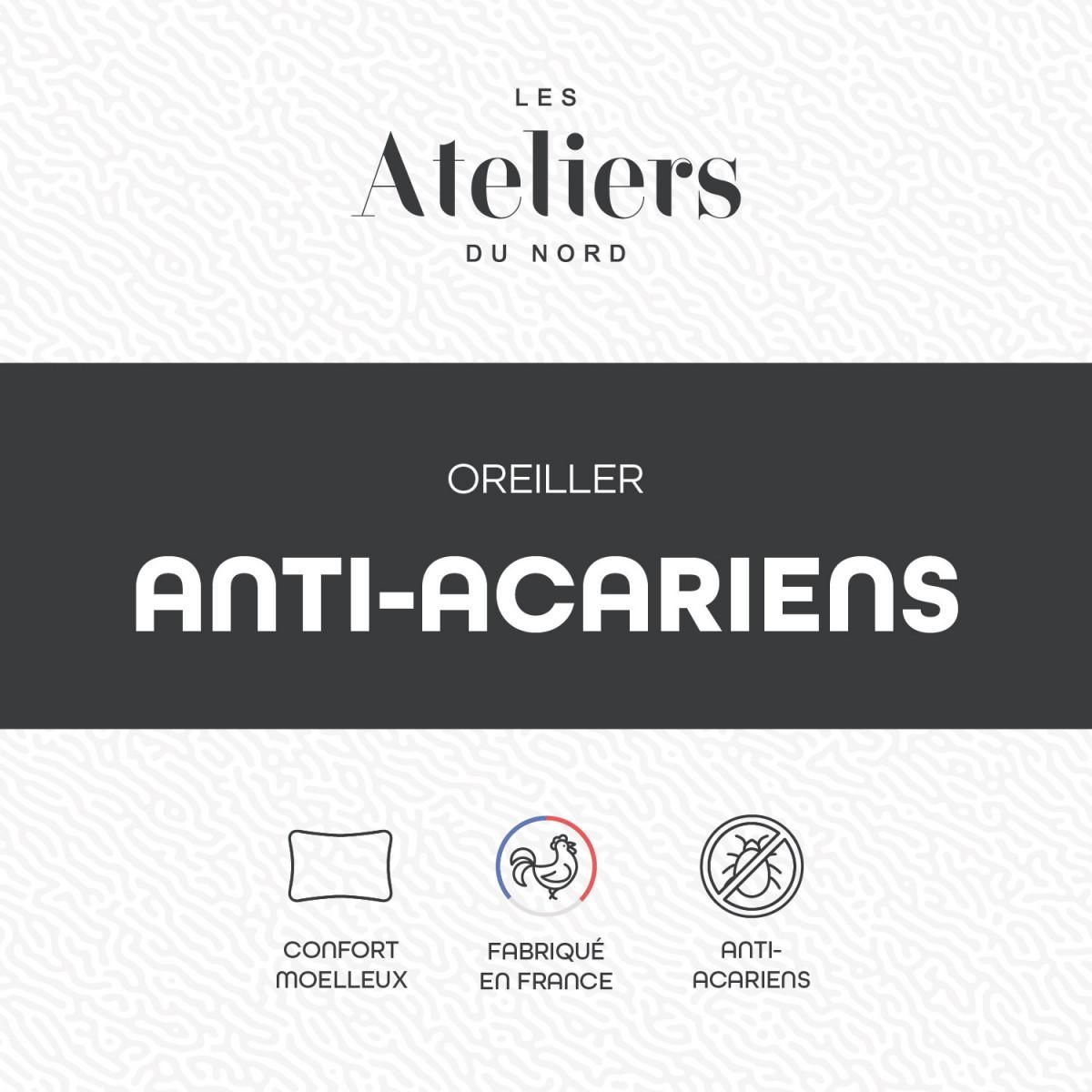 ATELIERS DU NORD Oreiller Anti-acariens