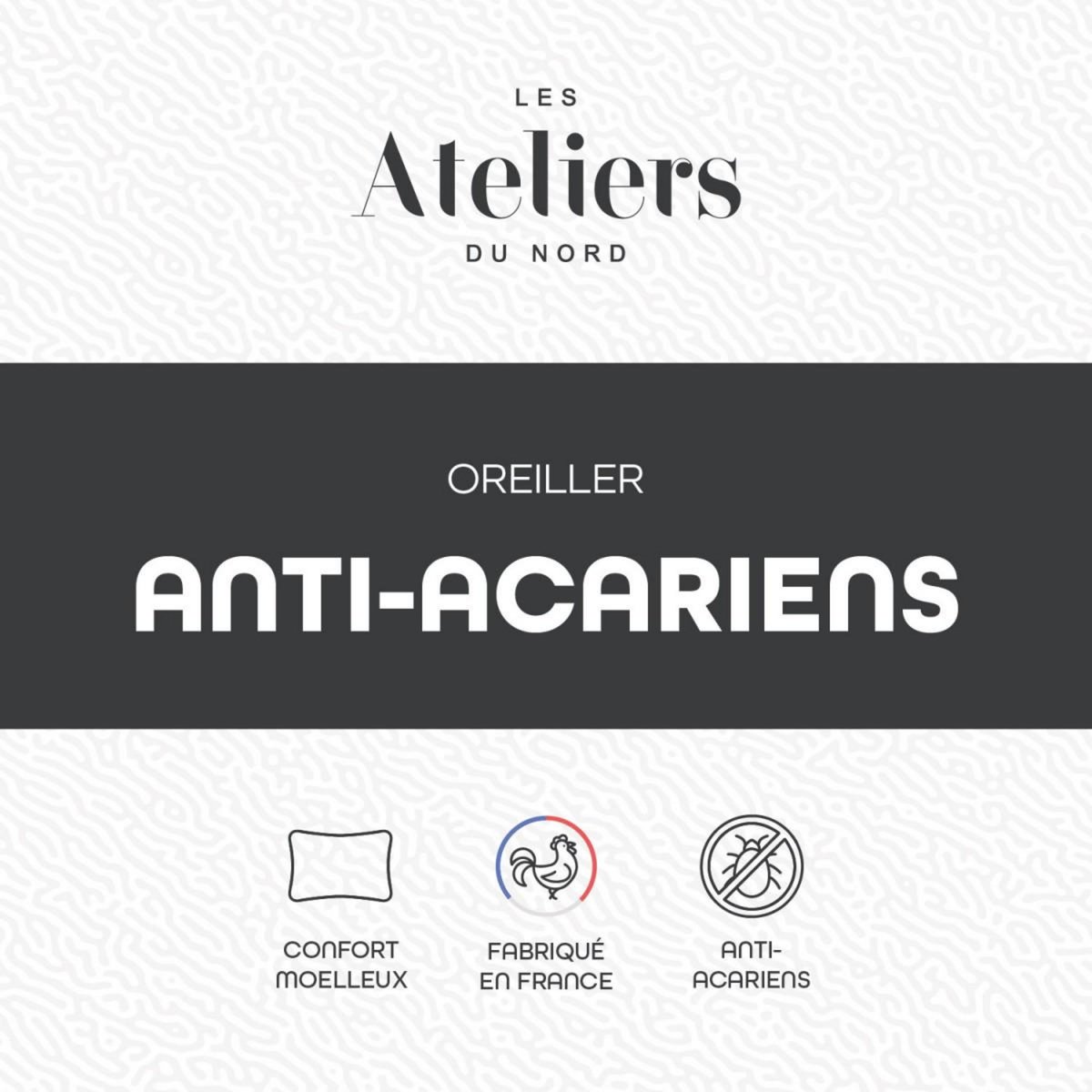 ATELIERS DU NORD Oreiller Anti-acariens