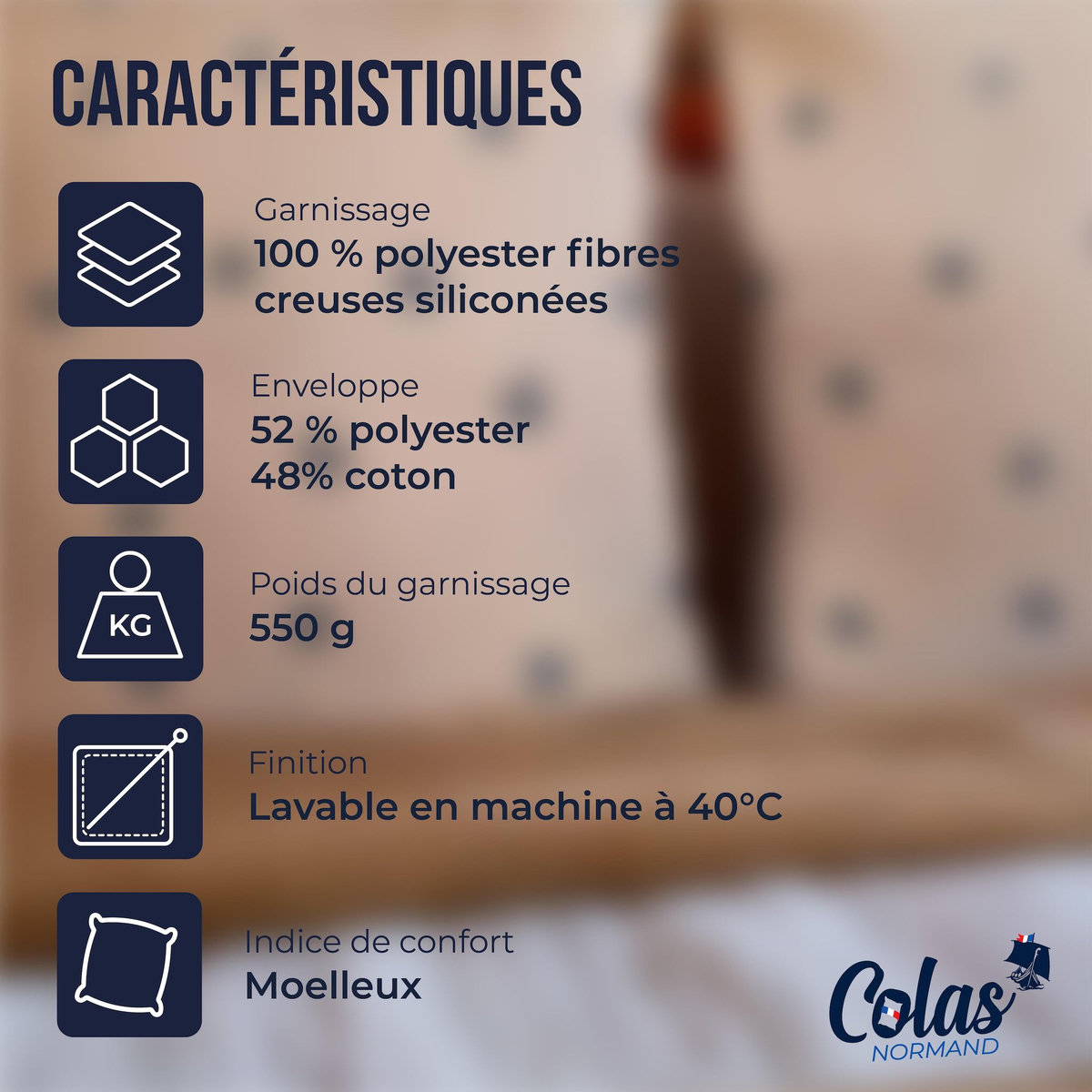 COLAS NORMAND Oreiller moelleux aux motifs géométriques 60X60cm