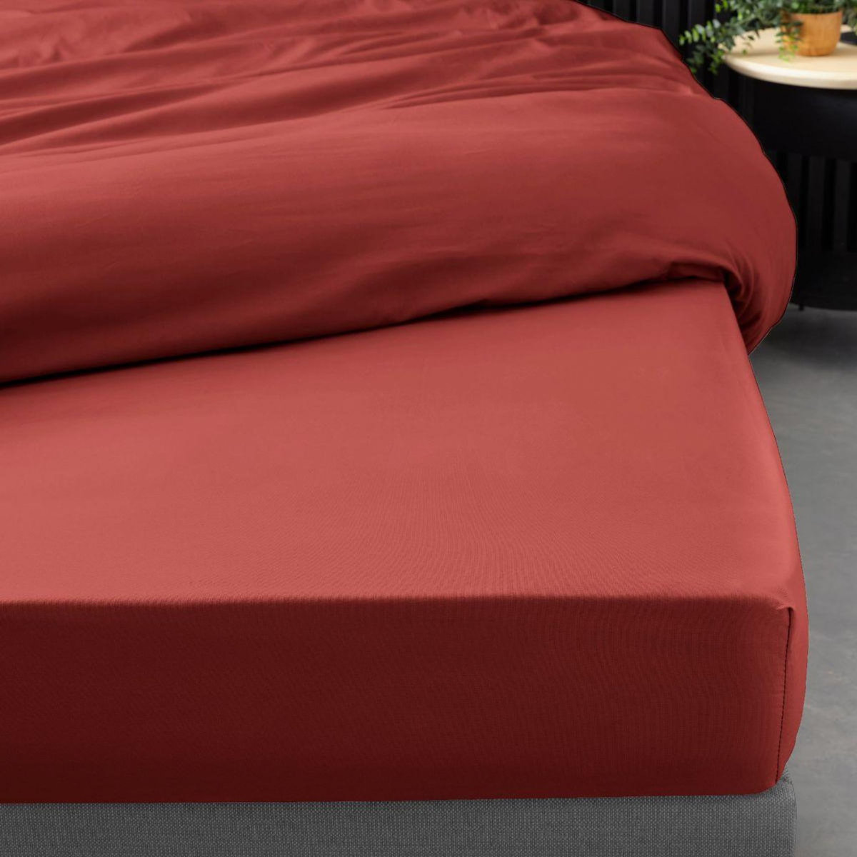 Paris Prix Drap Housse  Percaline  90x190cm Terracotta