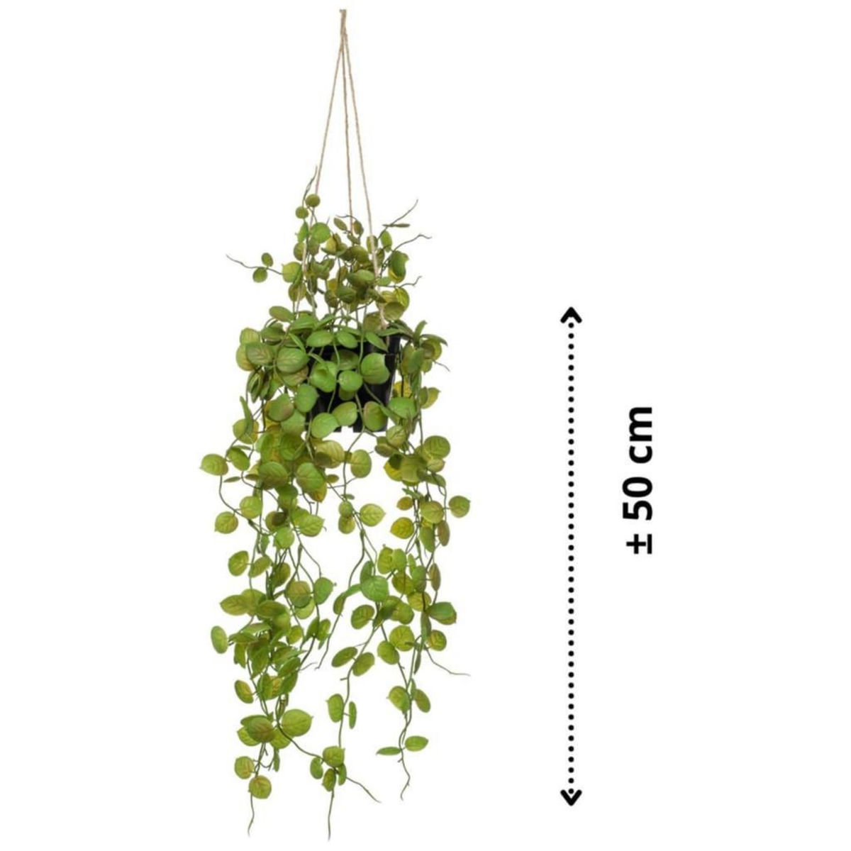 EMERALD Emerald Plante artificielle suspendue Ceropegia 50 cm en pot