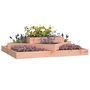 Voir la diapositive 3 : VIDAXL Jardiniere 112x112x27 cm Bois de douglas massif