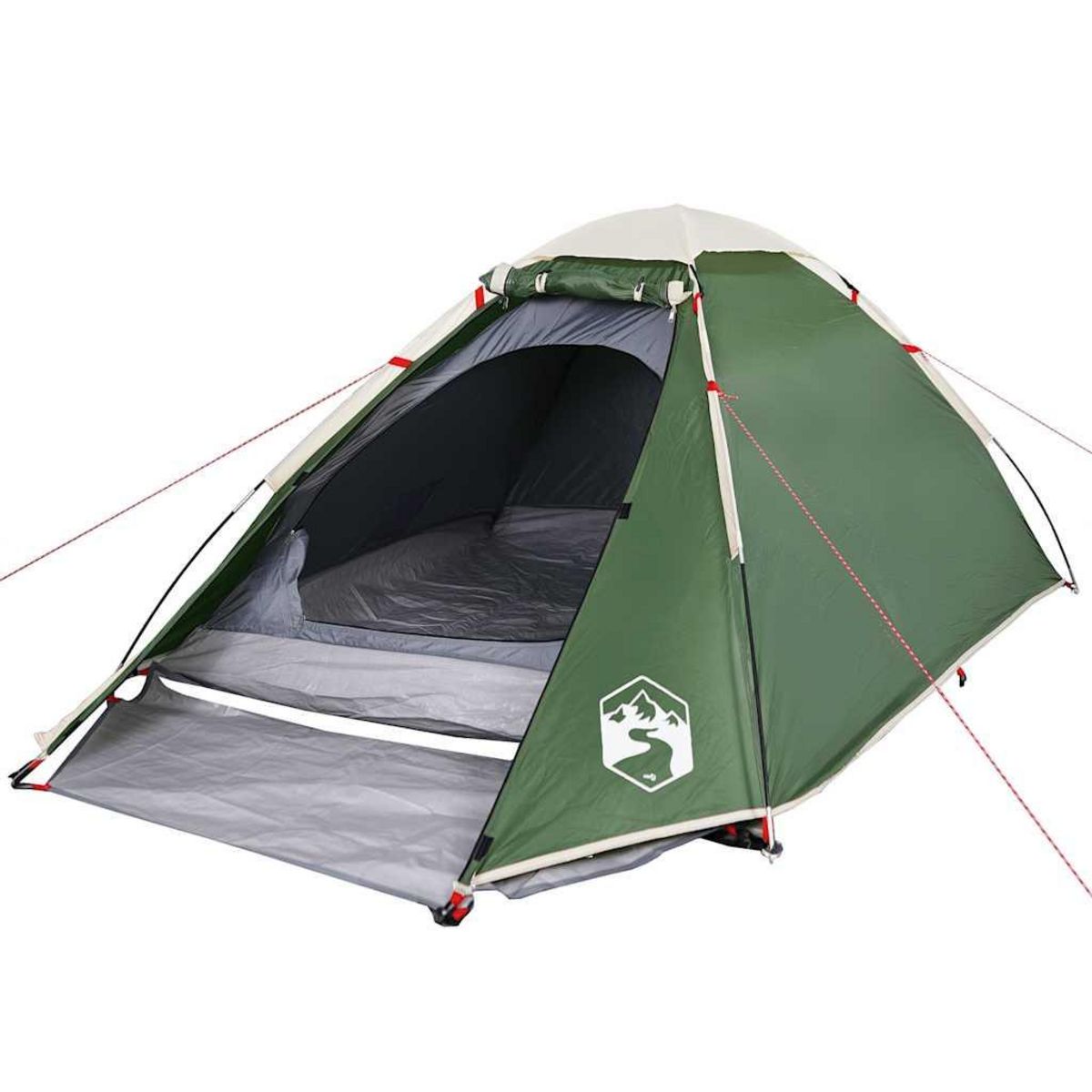 VIDAXL Tente de camping a dome 2 personne vert impermeable