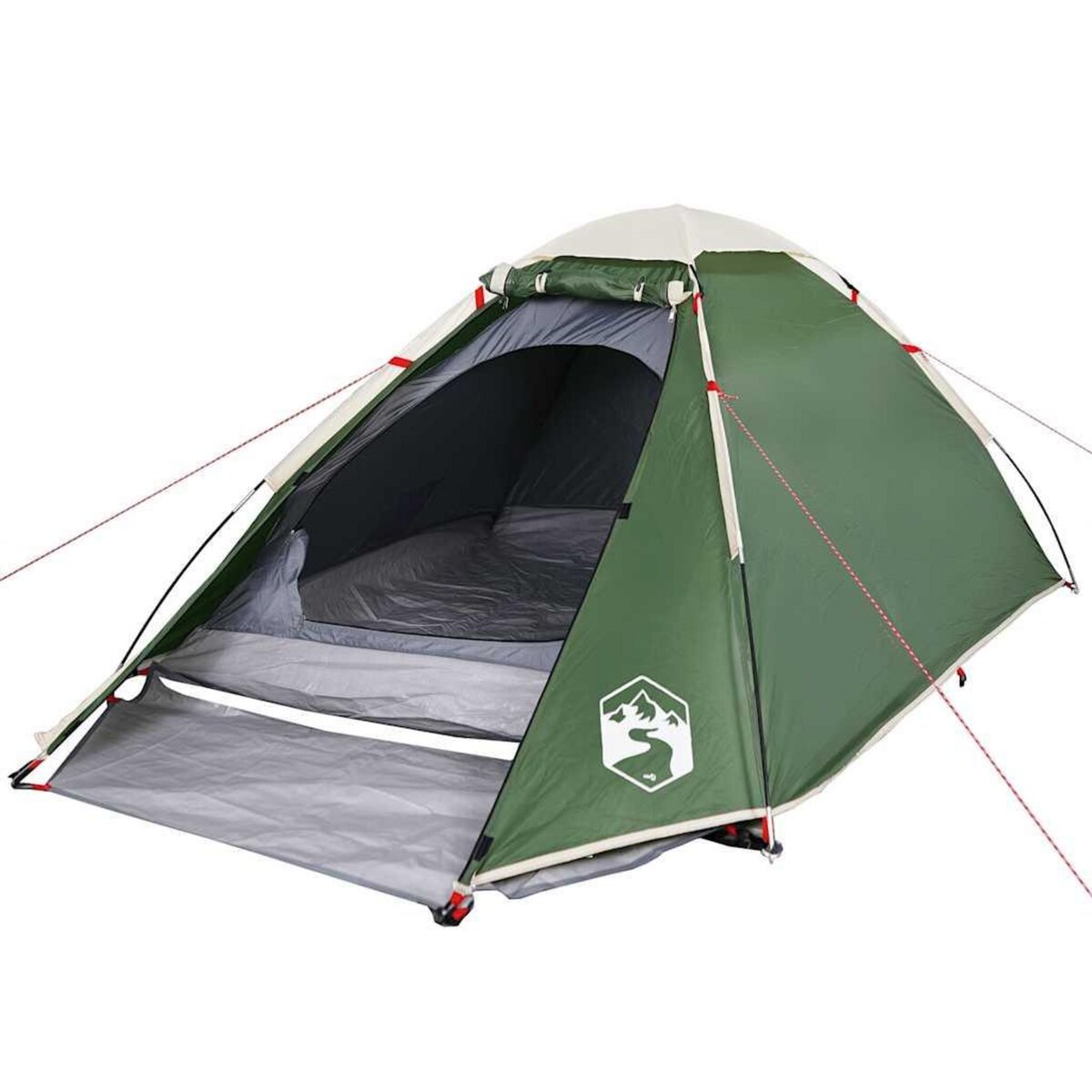VIDAXL Tente de camping a dome 2 personne vert impermeable