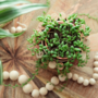 Voir la diapositive 4 : PLANT IN A BOX Plante collier de perles - Set de 2 - Senecio rowleyanus - H10-20cm - ⌀12cm