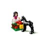 LEGO Friends 41123 - Le toilettage du poulain
