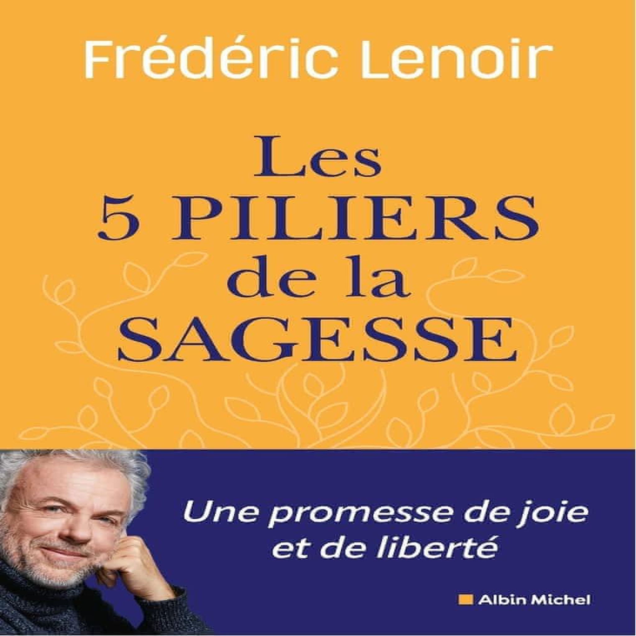 LES 5 PILIERS DE LA SAGESSE, Lenoir Frédéric