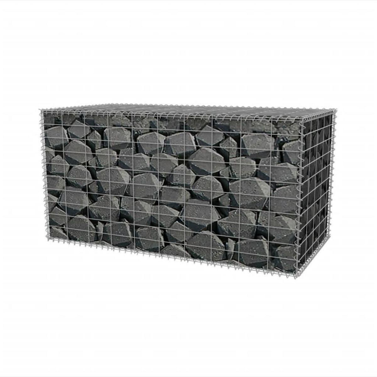 VIDAXL Panier de gabion Acier galvanise 100x50x50 cm