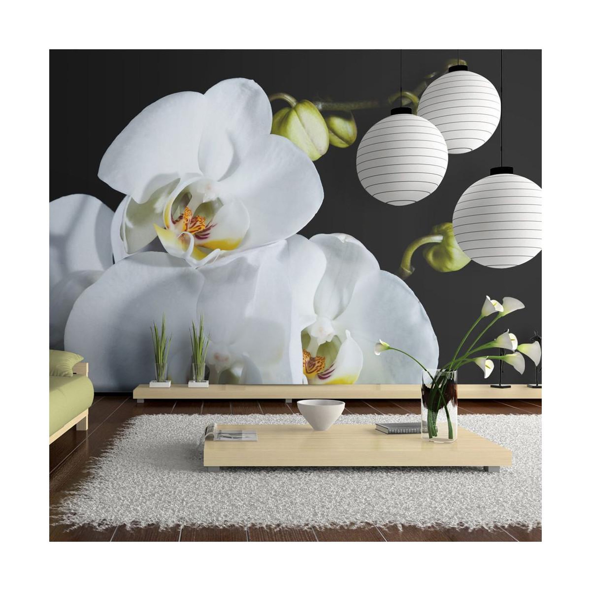 Paris Prix Papier peint  phalaenopsis  270x450cm