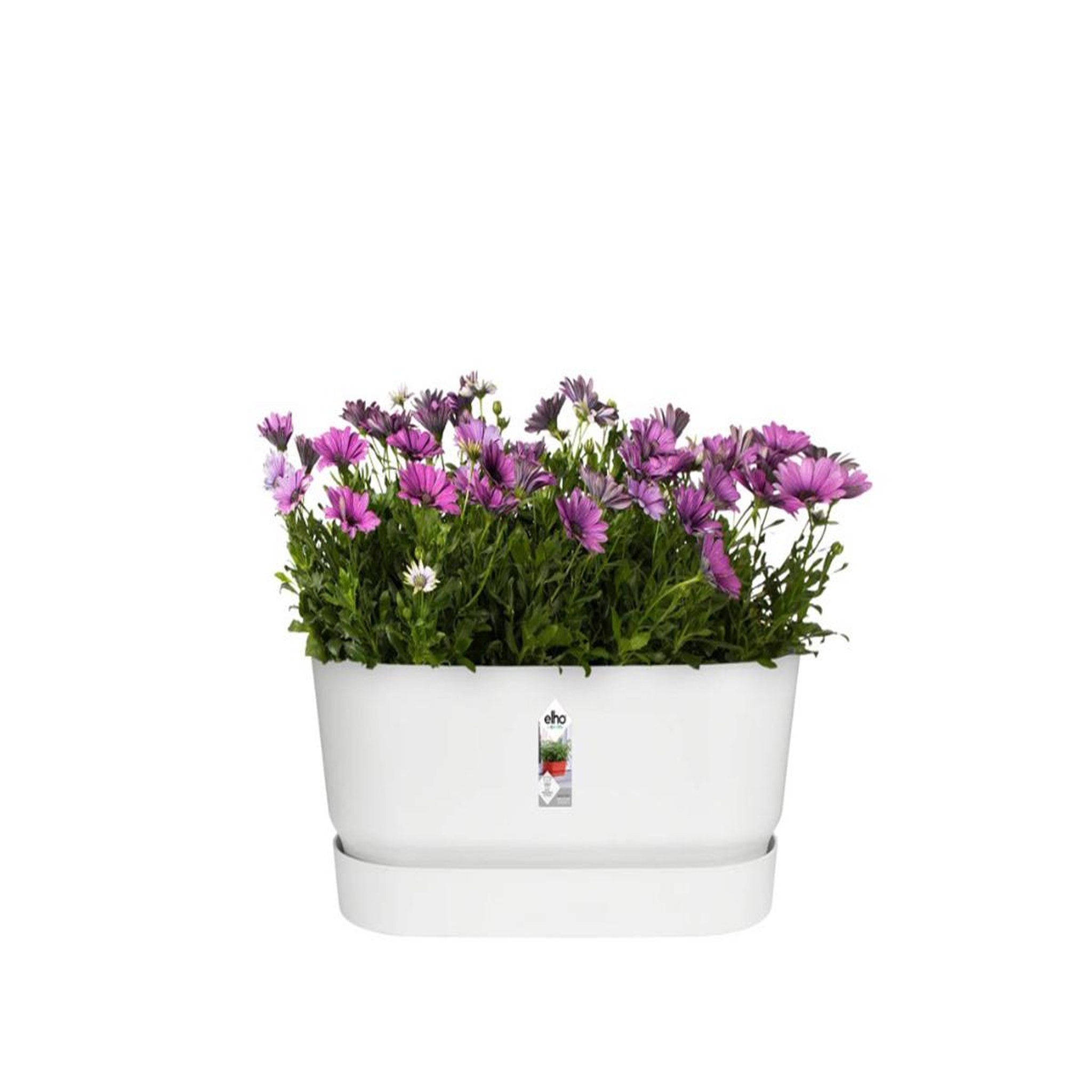 Voir la diapositive 3 : ELHO Jardinière Greenville Terrasse 60 x 26 x 24,4 cm avec roulettes - Blanc - Elho