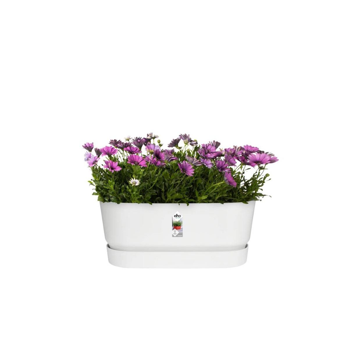 ELHO Jardinière Greenville Terrasse 60 x 26 x 24,4 cm avec roulettes - Blanc - Elho