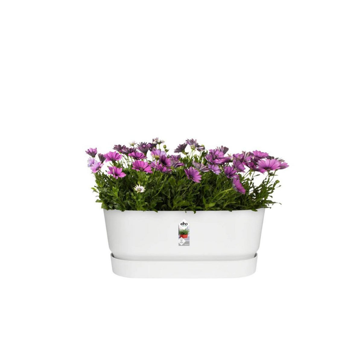ELHO Jardinière Greenville Terrasse 60 x 26 x 24,4 cm avec roulettes - Blanc - Elho