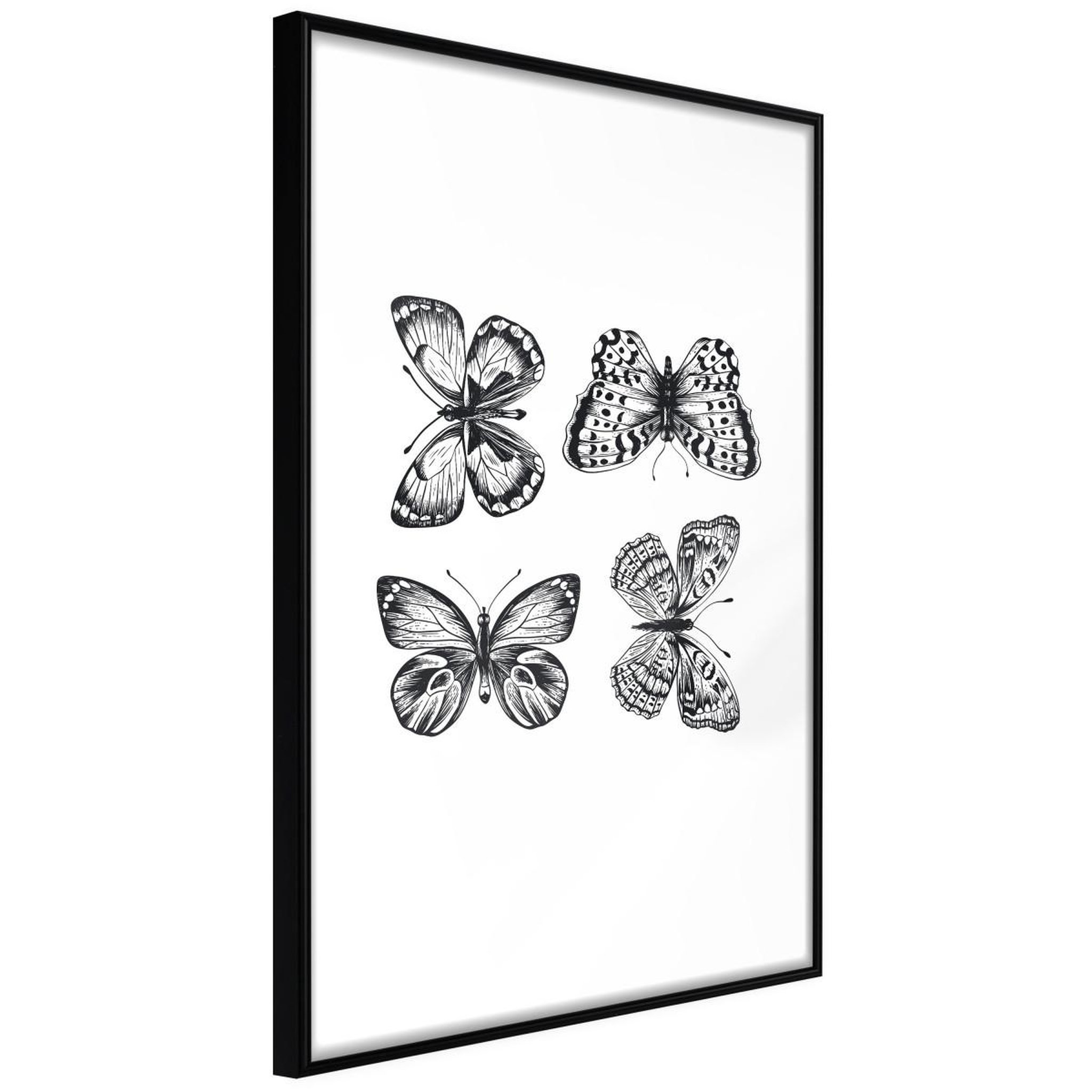 Paris Prix Affiche Murale Encadrée  Butterfly Collection IV