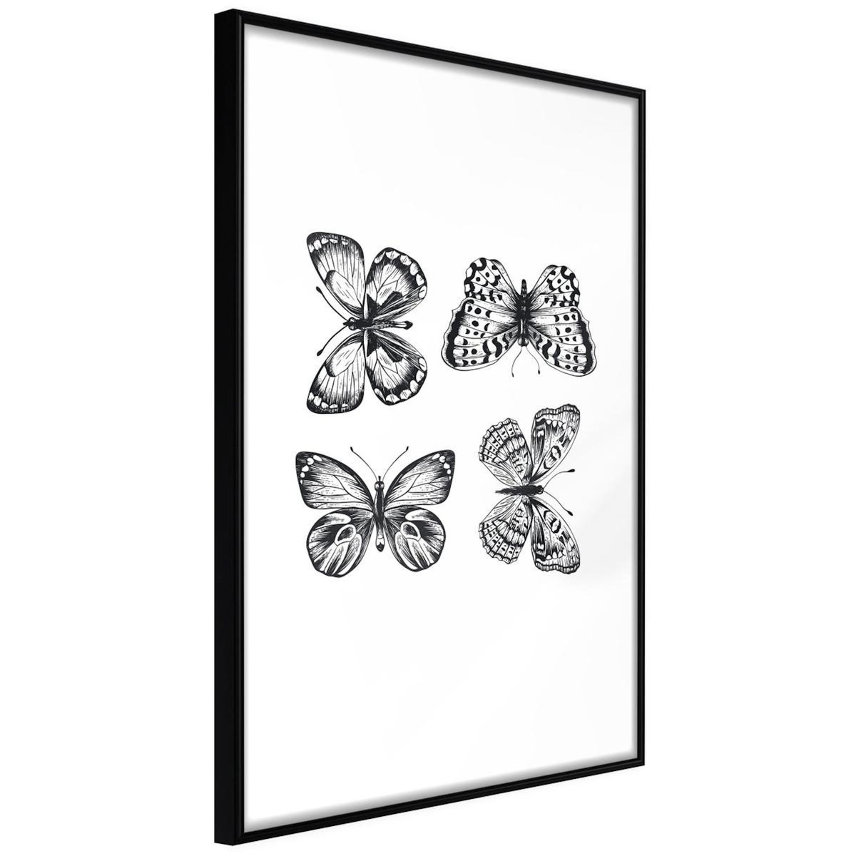 Paris Prix Affiche Murale Encadrée  Butterfly Collection IV