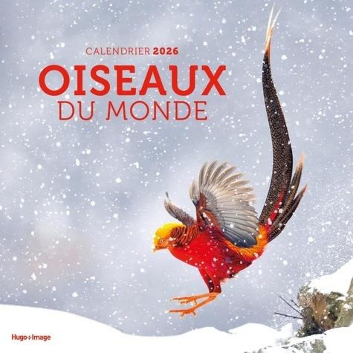 CALENDRIER OISEAUX DU MONDE. EDITION 2026, Hugo Image