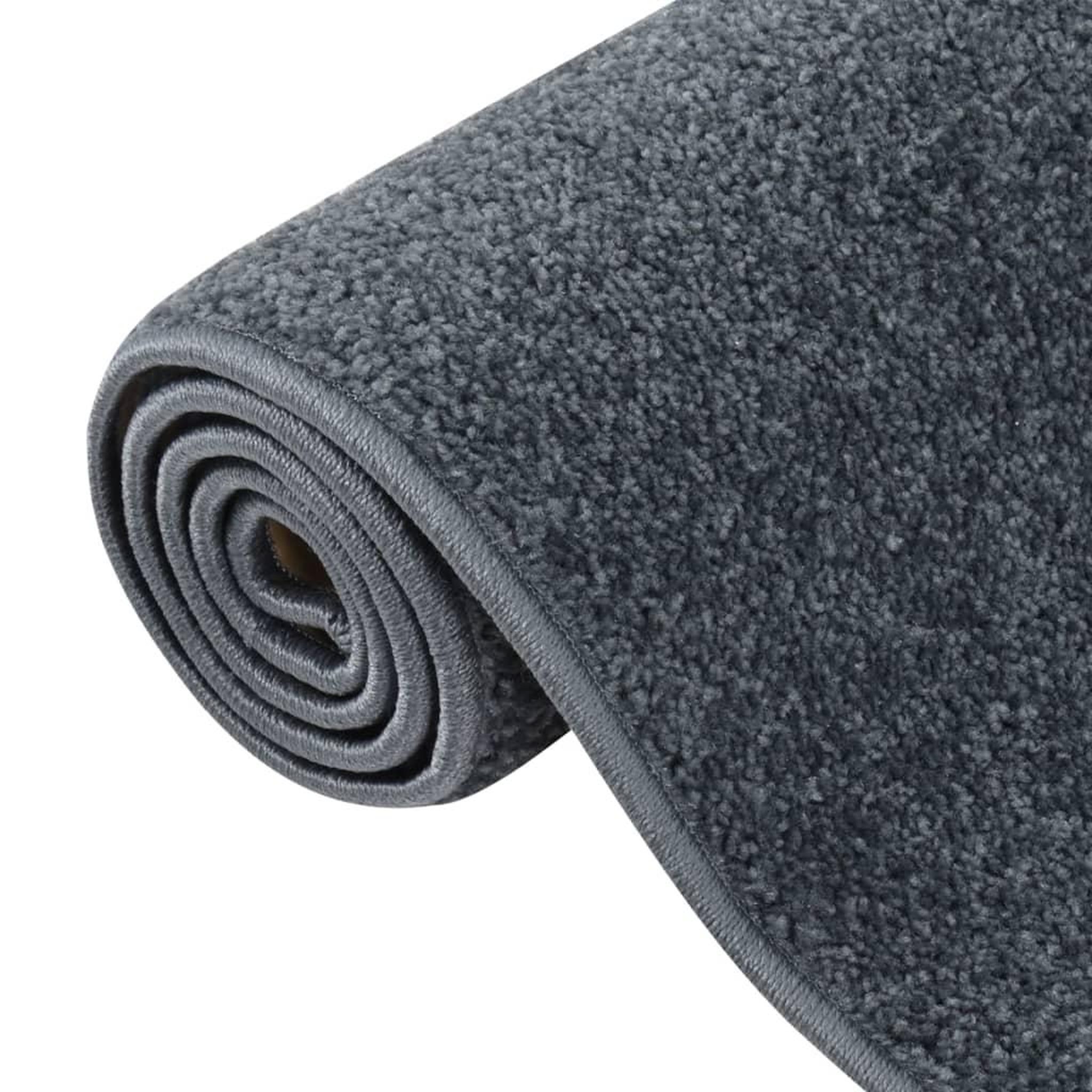 Voir la diapositive 5 : VIDAXL Tapis a poils courts 160x230 cm Anthracite