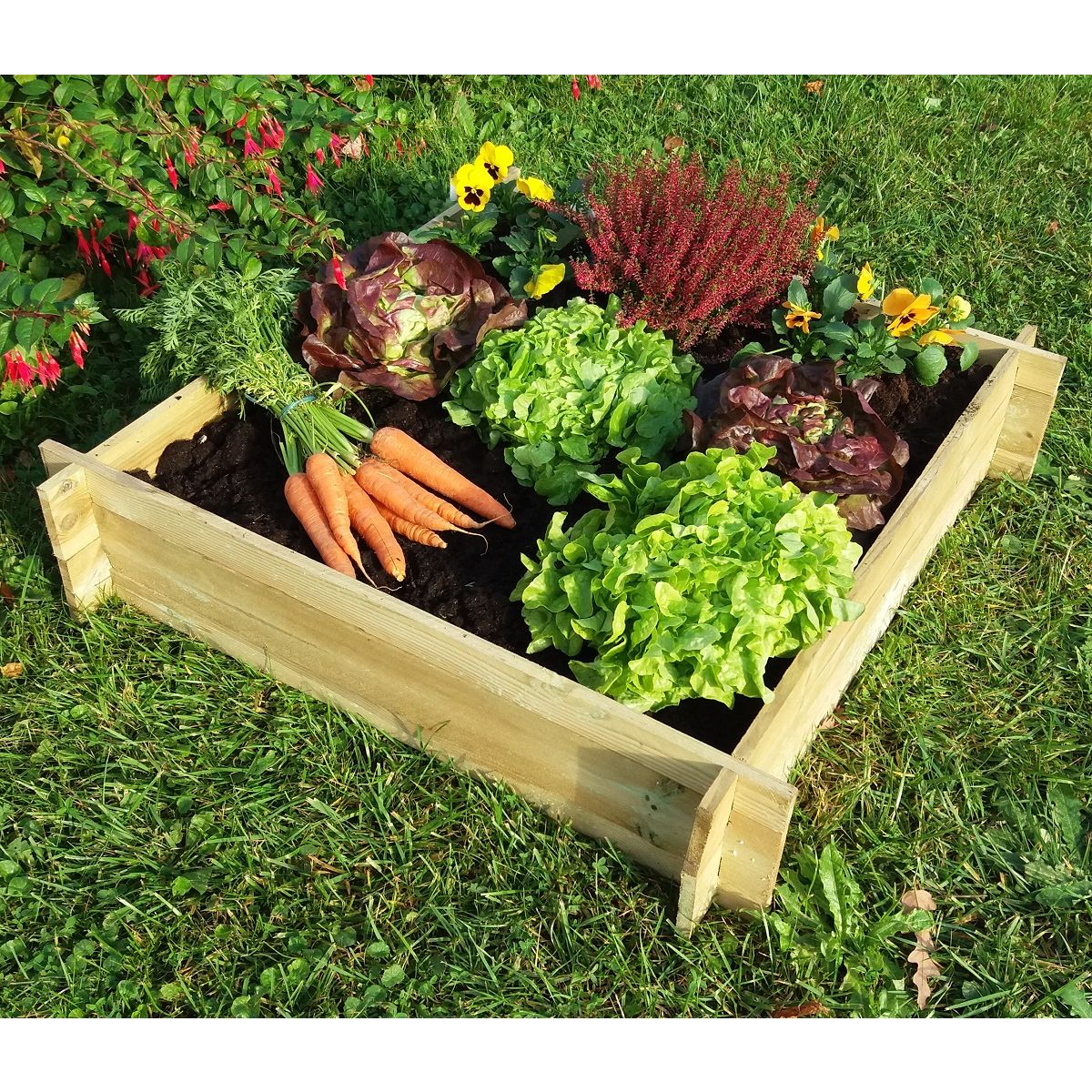 GARDENSTAR Carré Potager - Bois - 80x80x20cm
