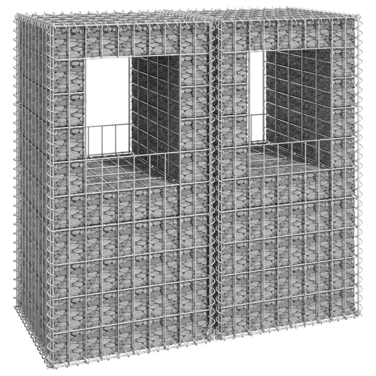 VIDAXL Poteaux a panier de gabion 2 pcs 50x50x100 cm Fer