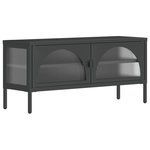 VIDAXL Meuble TV noir 105x35x50 cm verre et acier