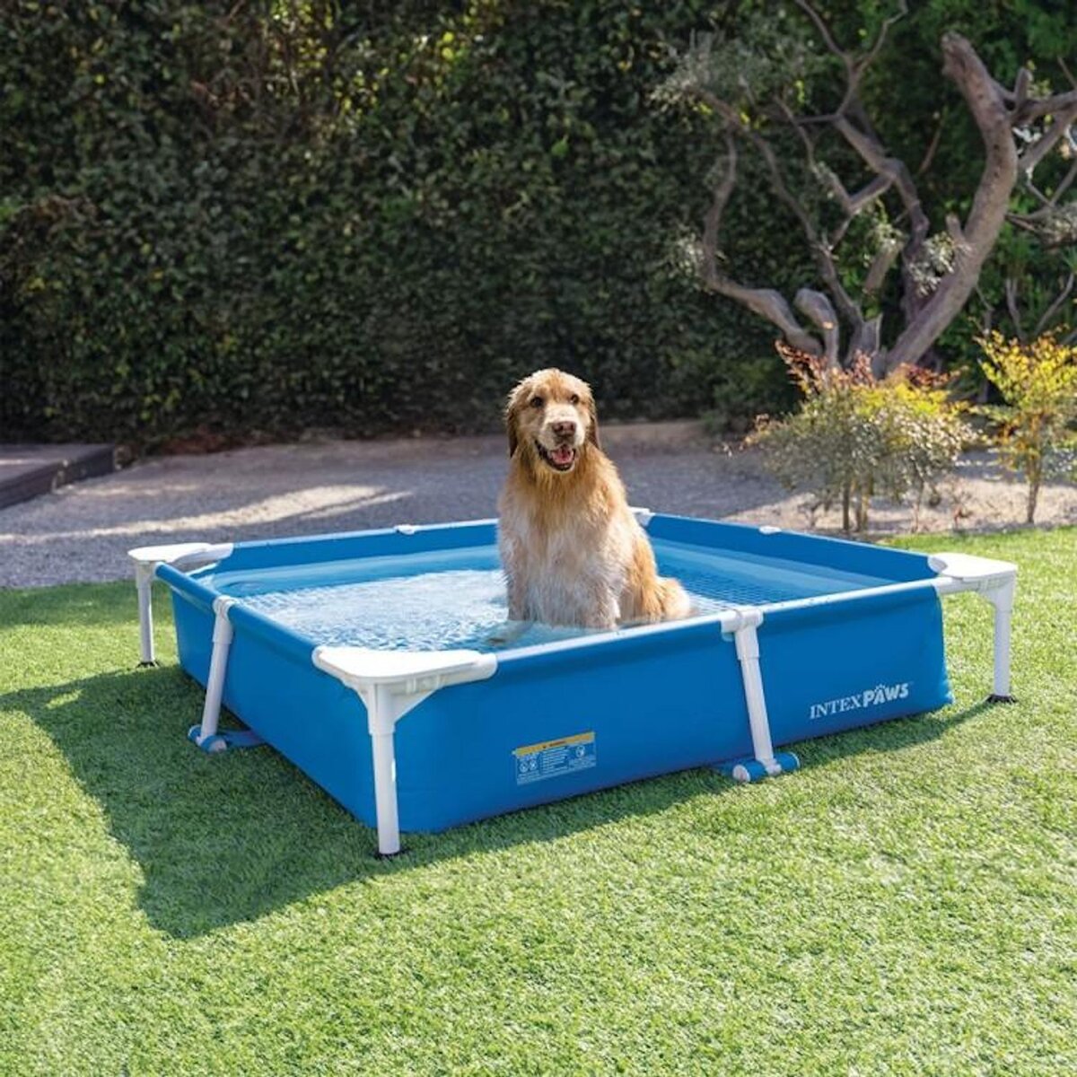 INTEX Piscine tubulaire carrée pour animaux - Intex