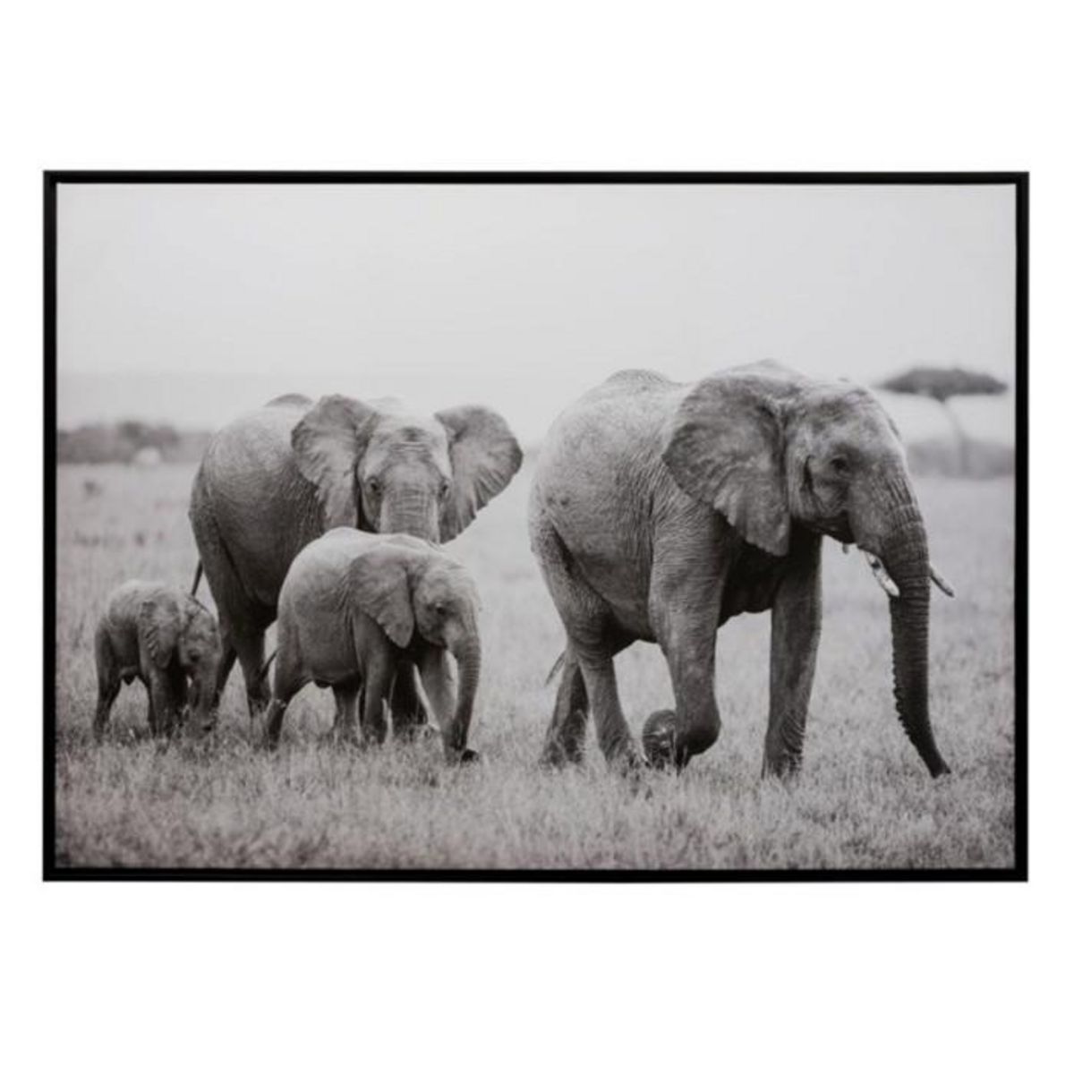 Paris Prix Cadre Déco  Famille Éléphant  104x144cm Noir