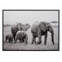 Voir la diapositive 1 : Paris Prix Cadre Déco  Famille Éléphant  104x144cm Noir