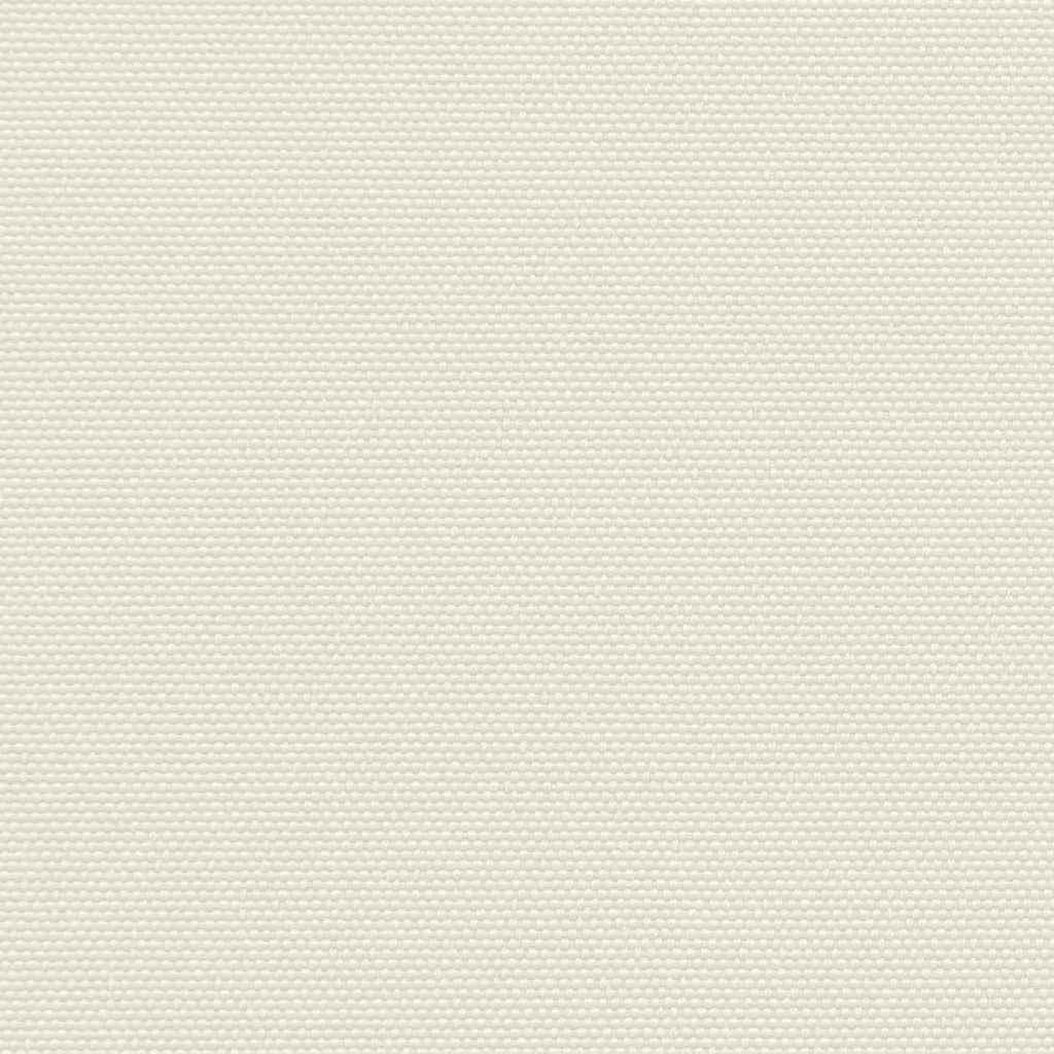 Voir la diapositive 4 : VIDAXL Auvent lateral retractable 160 x 500 cm Creme